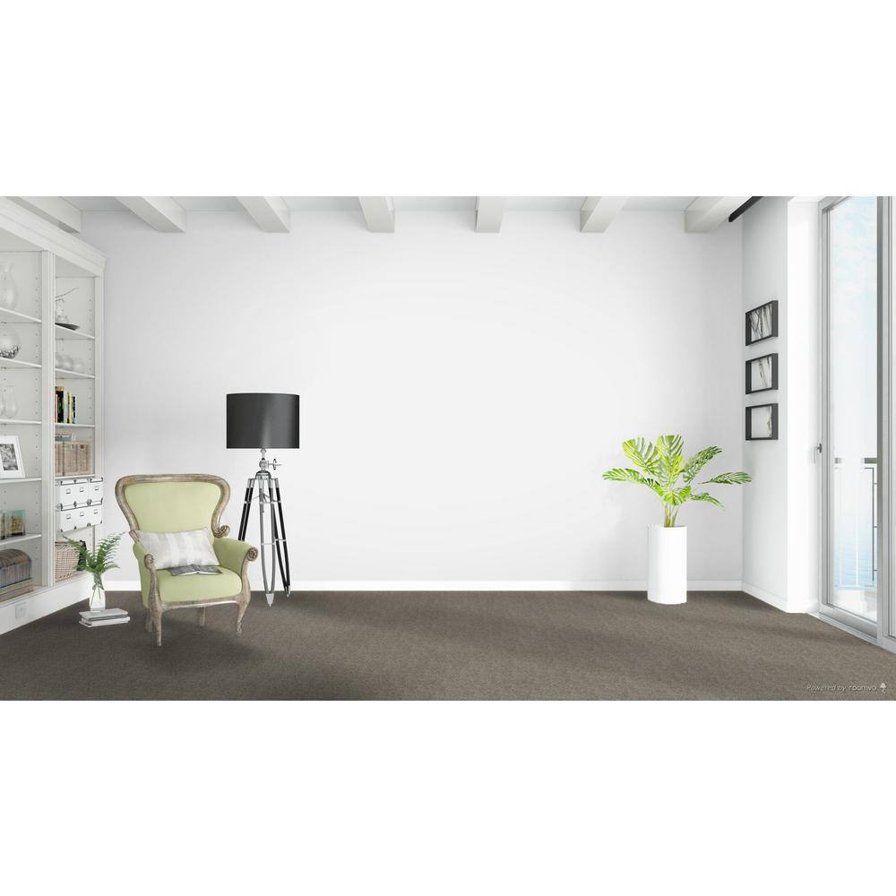 Home Decorators Collection Whispers  - Reveal - Gray 38 oz. SD Polyester Texture Installed Carpet
