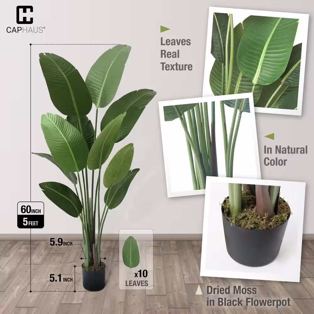 CAPHAUS 5 ft. Artificial Bird of Paradise Plant with 10 Trunks, Realistic Look & Easy Maintenance, Perfect for Home or Office