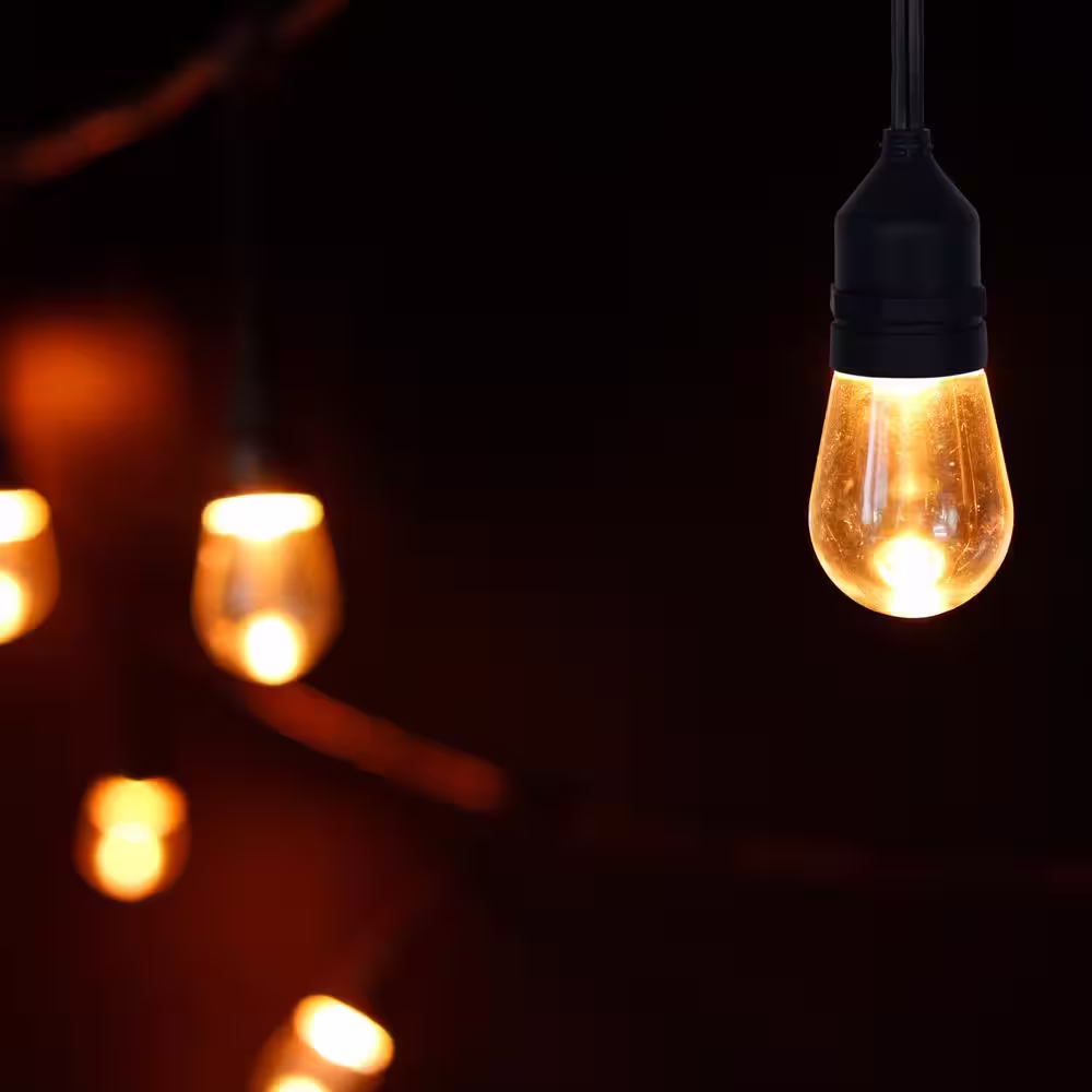 Honeywell Outdoor/Indoor 24 ft. Plug-In Edison Bulb Color Changing LED String Lights with Remote Control