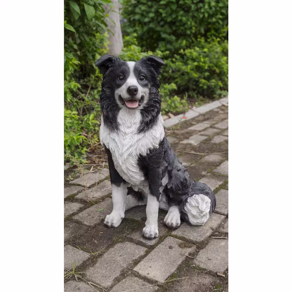 Hi-Line Gift Border Collie Sitting Statue