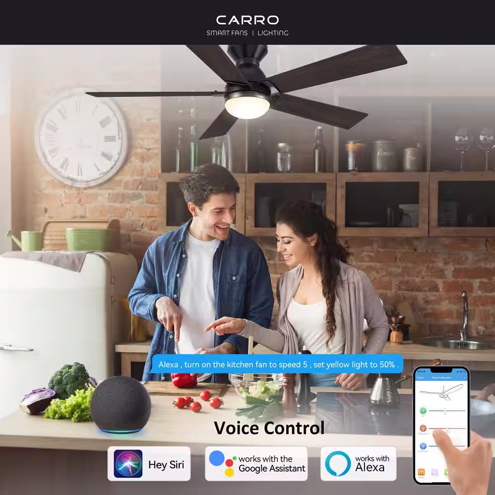 CARRO Aspen 52 in. Dimmable LED Indoor/Outdoor Black Smart Ceiling Fan with Light and Remote, Works with Alexa/Google Home