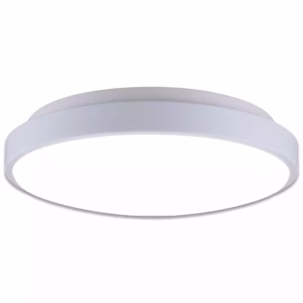 SMRTLite by NBG HOME 12 in. Integrated Selectable LED RGBW Flush-Mount