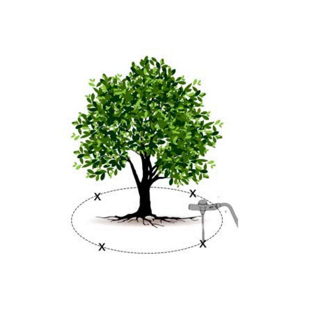 Ross 1.33 lb. Root Feeder Fertilizer Refills for Evergreens (36-Pack)