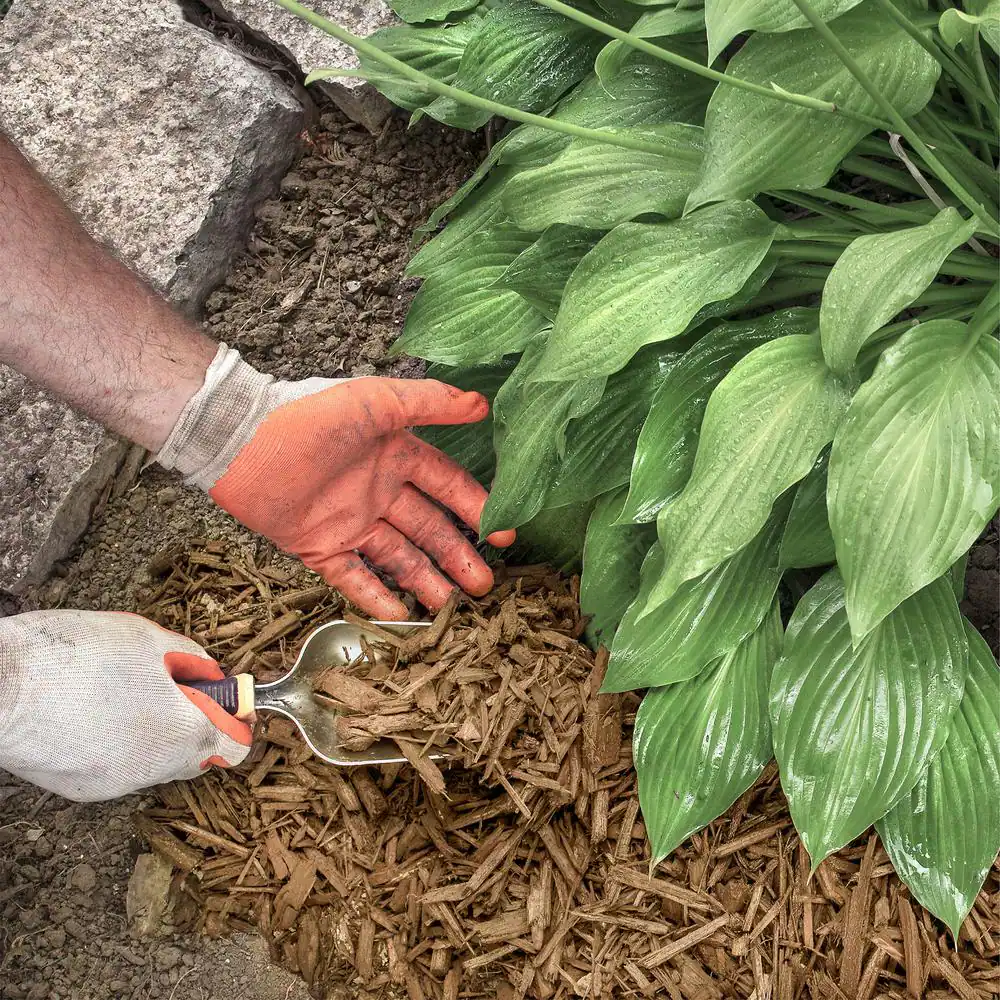 None 2 cu. ft. Cedar Mulch Blend