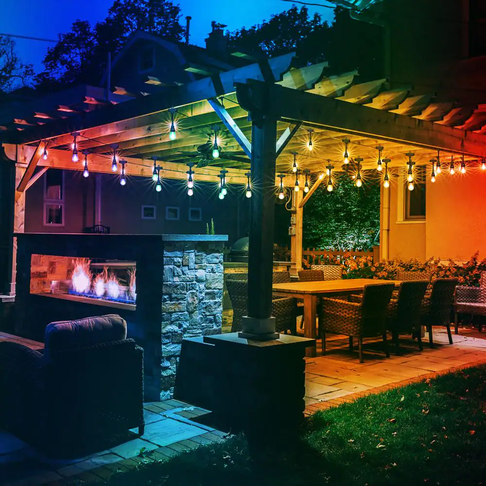Honeywell Outdoor/Indoor 48 ft. Plug-In Edison Bulb Color Changing LED String Lights with Remote Control
