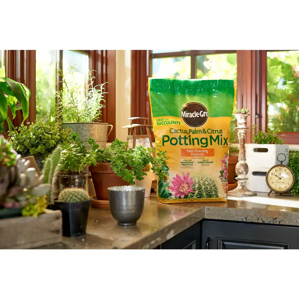Miracle-Gro 8 Qt. Cactus Palm and Citrus Potting Mix