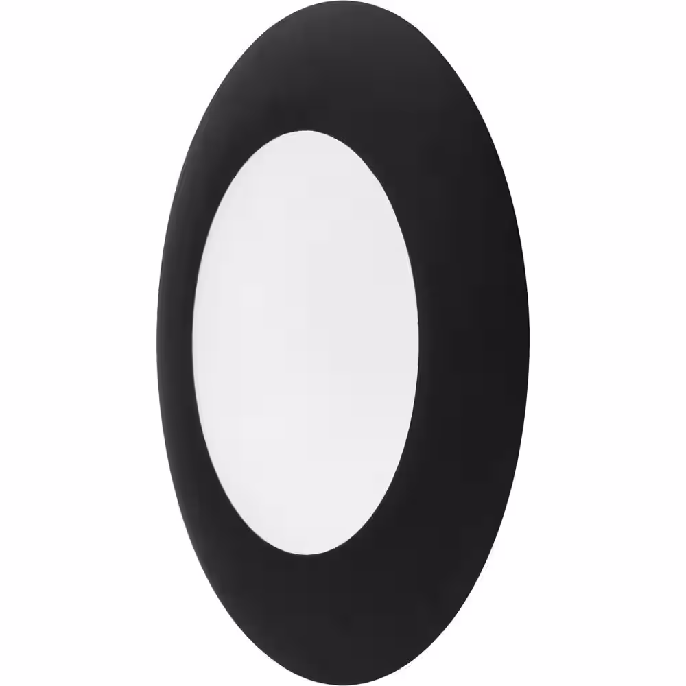 Volume Lighting 1-Light Integrated LED Indoor/Outdoor Black Surface Mount or Wall Mount with Sealed Frosted Polycarbonate Lens Cover