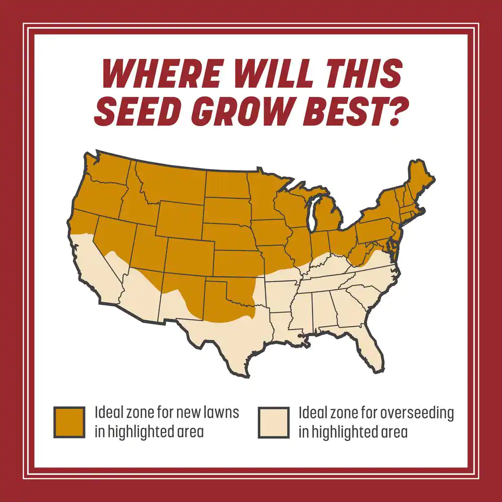 Pennington Smart Seed 3 lbs. Perennial Ryegrass Grass Seed Blend