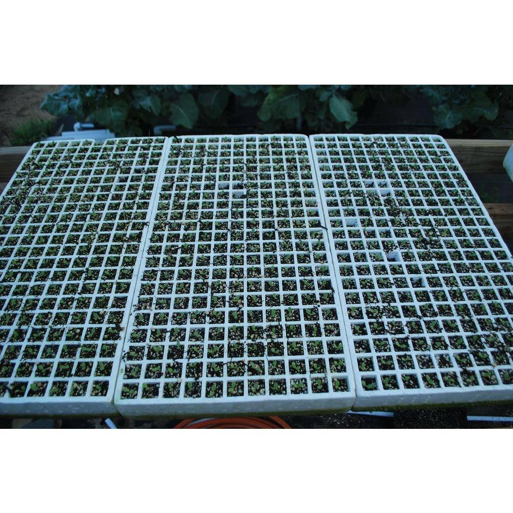 Riverstone Hydroponic Seeding Tray (2-Pack)