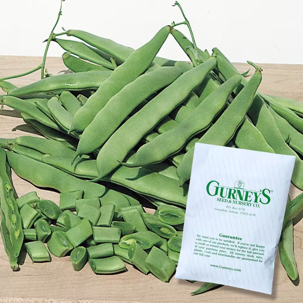 Gurney's Bush Bean Roma II (2 lbs. Seed Packet)