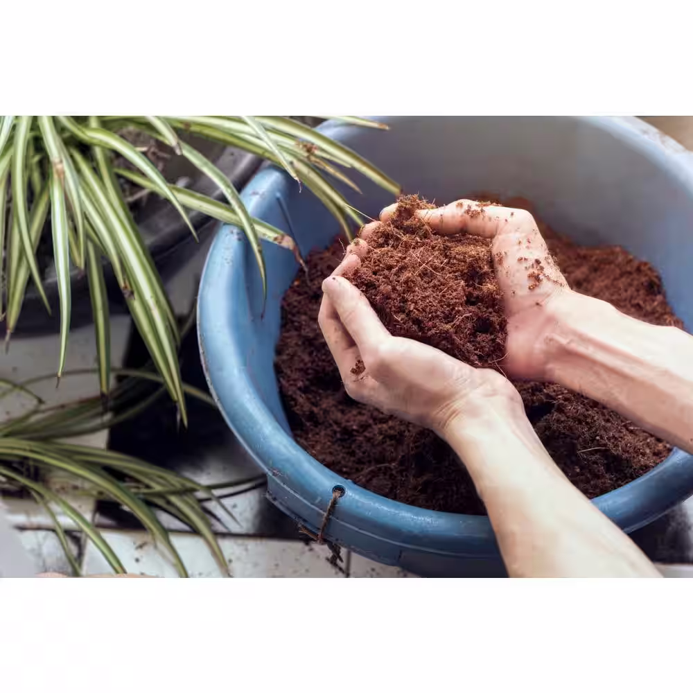 None 11 lbs. Coco Coir Potting Soil for Indoor Plants and Outdoor Plant The Coconut Coir Potting Mix is Great for Microgreens