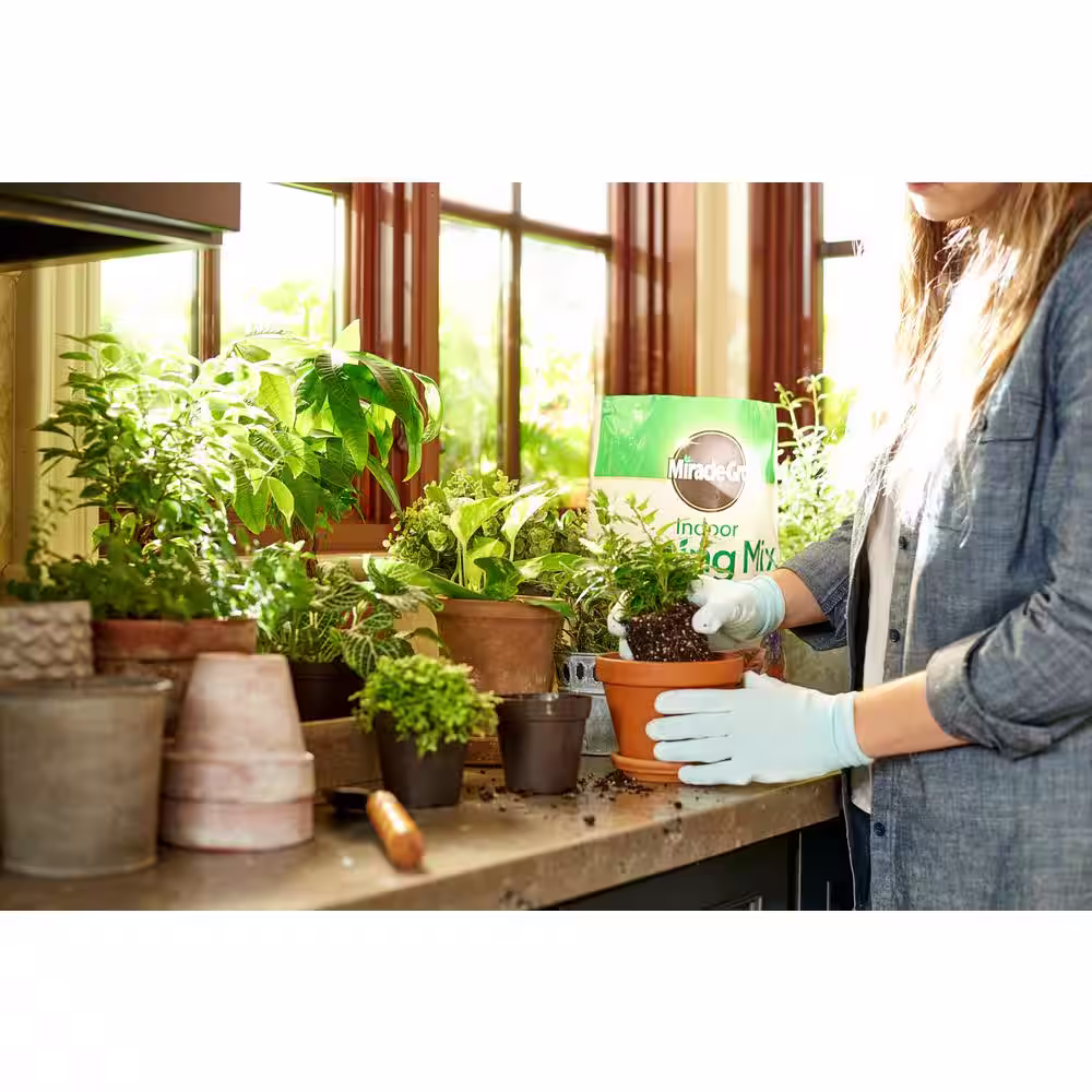 Miracle-Gro Indoor Potting Mix, Indoor Plant Food and Leaf Shine