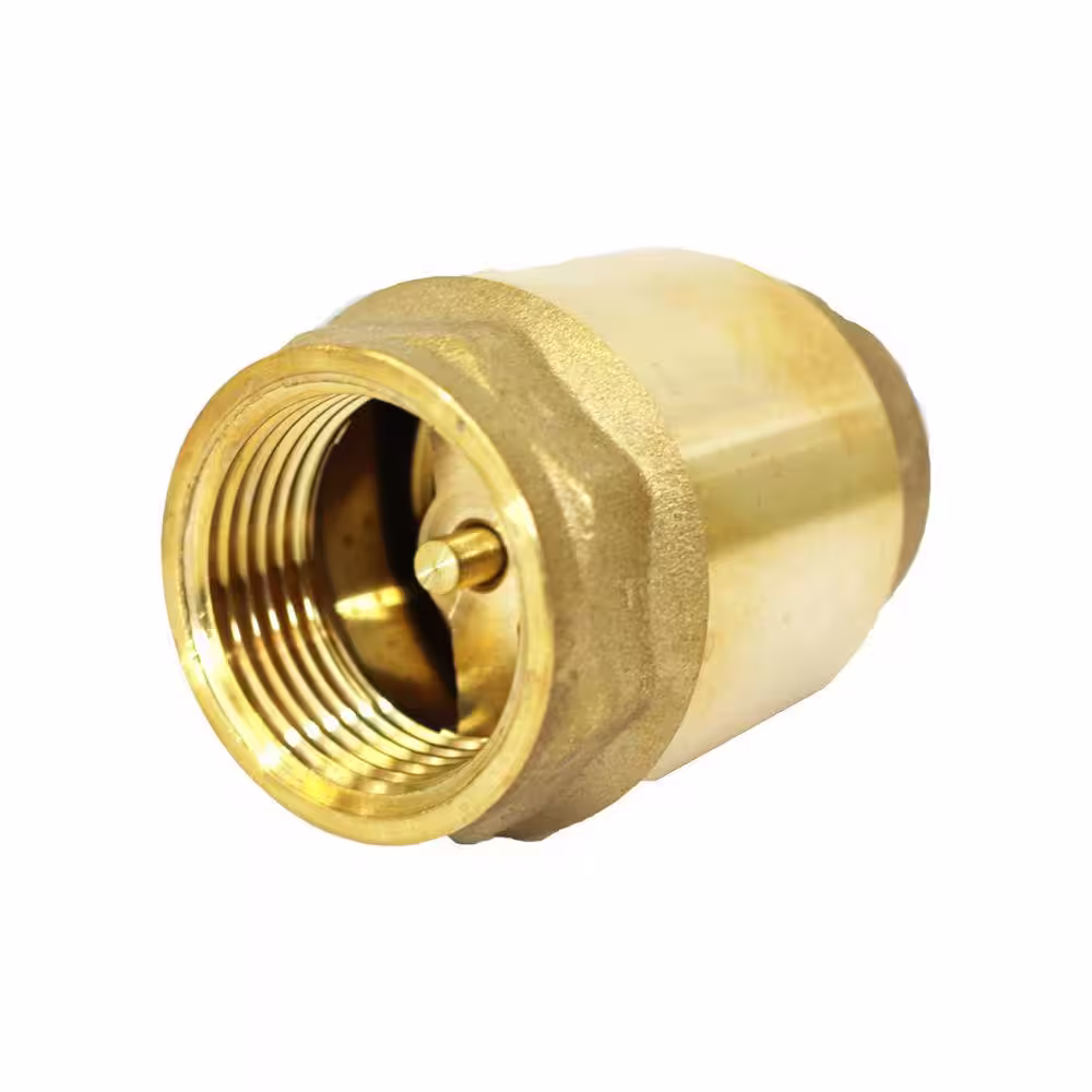 CMI inc 2 in. Spring Check Valve Lead Free