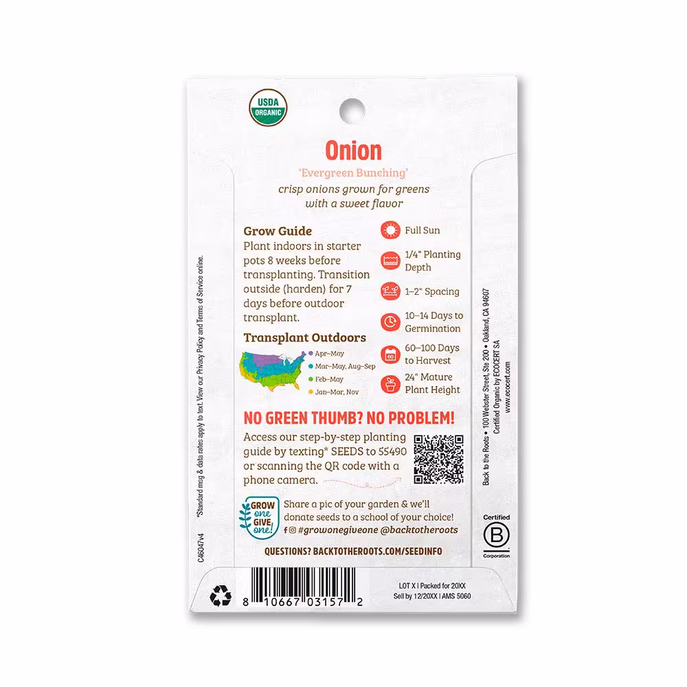 Back to the Roots Organic Evergreen Bunching Onion Seed (1-Pack)