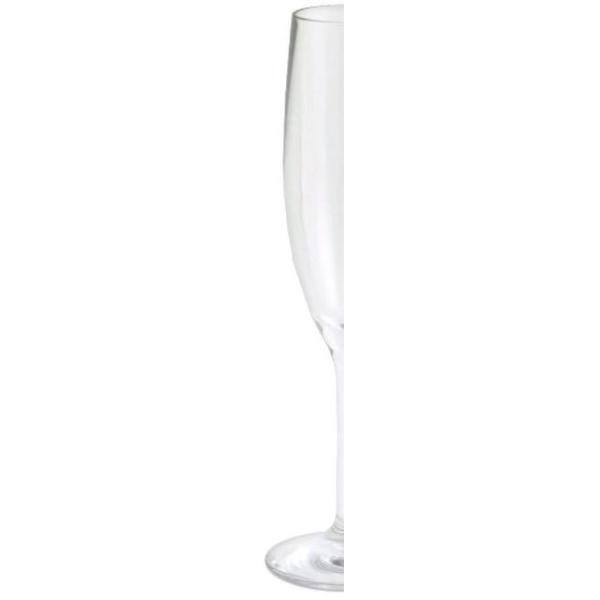 BOLD DRINKWARE Revel 5.5 oz. Polycarbonate Champagne (Set of 6)