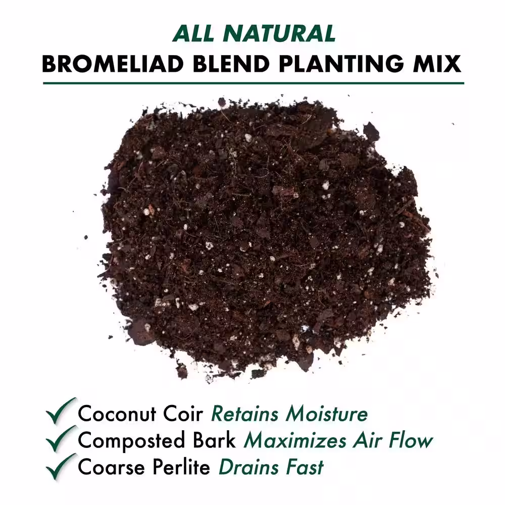 Better-Gro 8 qt. Bromeliad Blend Potting Mix Twin Pack