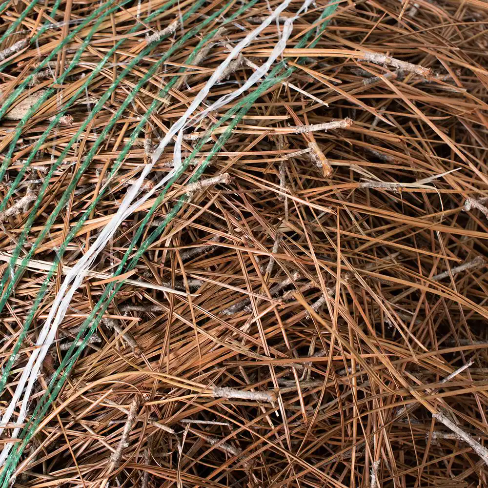 national PLANT NETWORK Long Leaf Pine Straw Bale