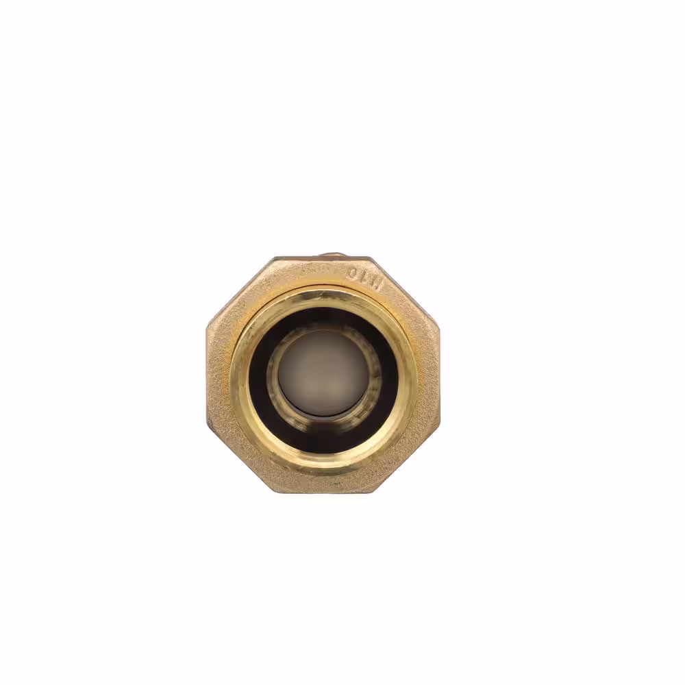 Wilkins 1 in. x 3/4 in. Female Dual Check Valve
