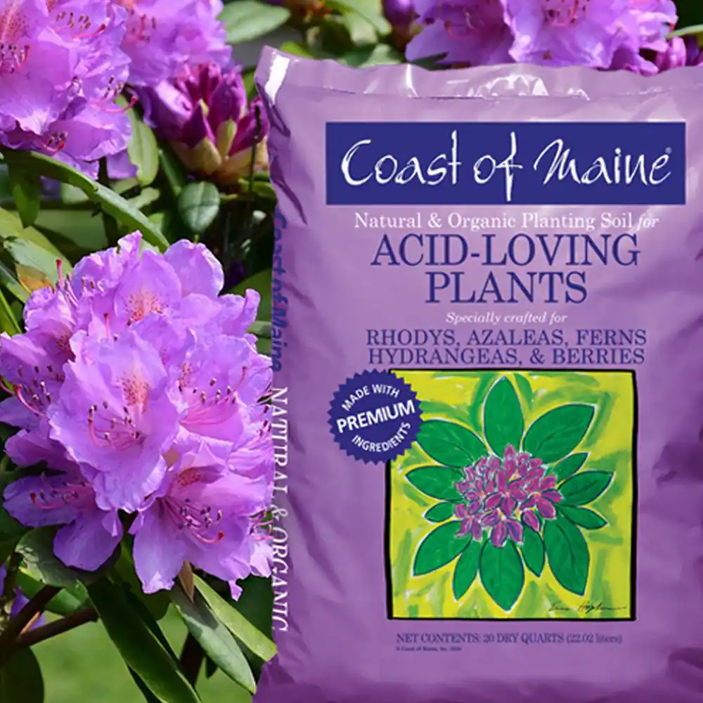None Organic Natural Potting Soil for Acid Loving Plants, 20 Qt. Bag