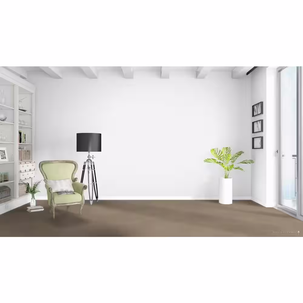 Home Decorators Collection Moonlight  - Stroll - Beige 32 oz. SD Polyester Texture Installed Carpet