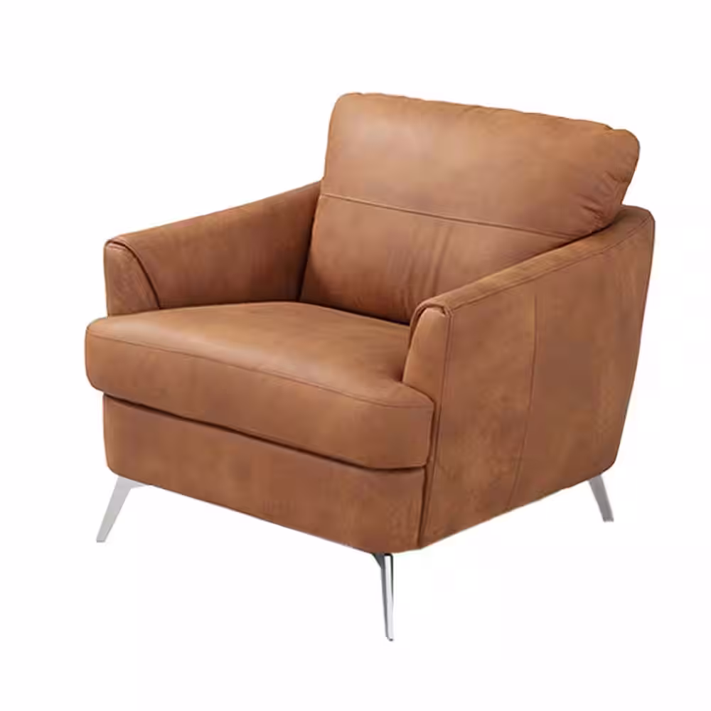 Acme Furniture Safi Cappuccino Leather Armchair