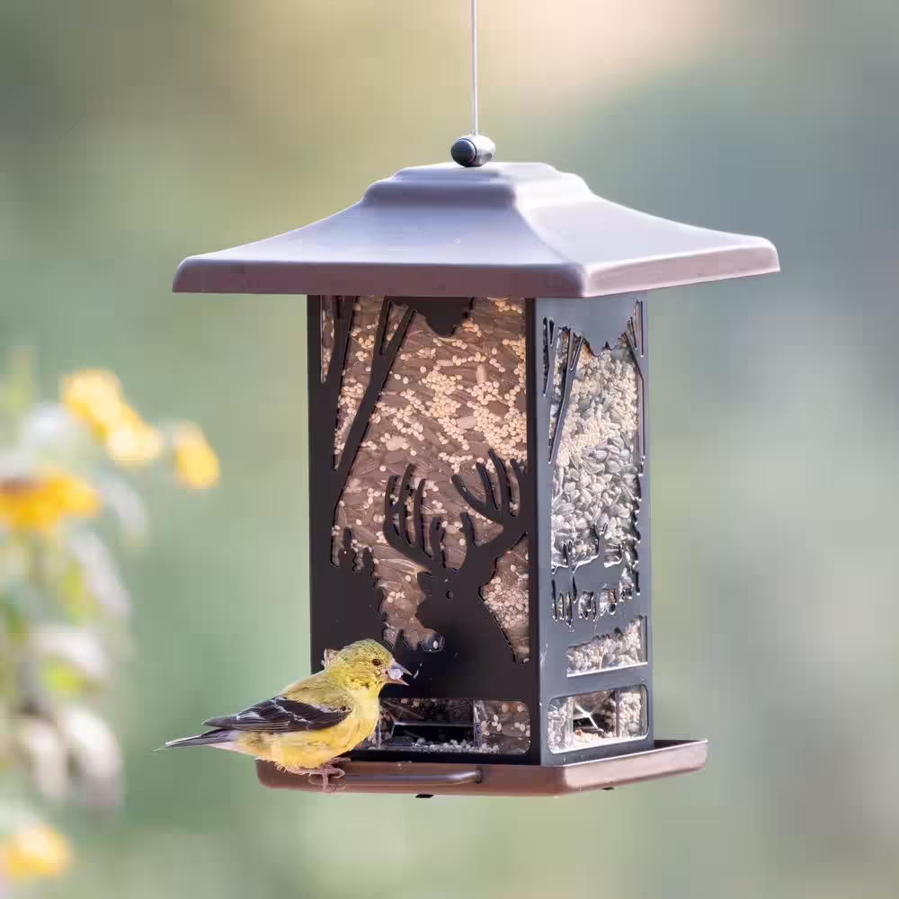 Perky-Pet Wilderness Lantern Hanging Bird Feeder - 2 lb. Capacity