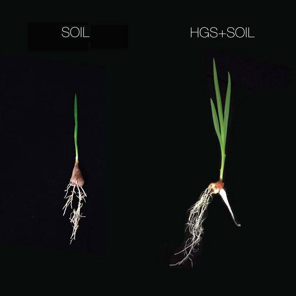 HARVEST GOLD ORGANICS Organic Soil Amendment