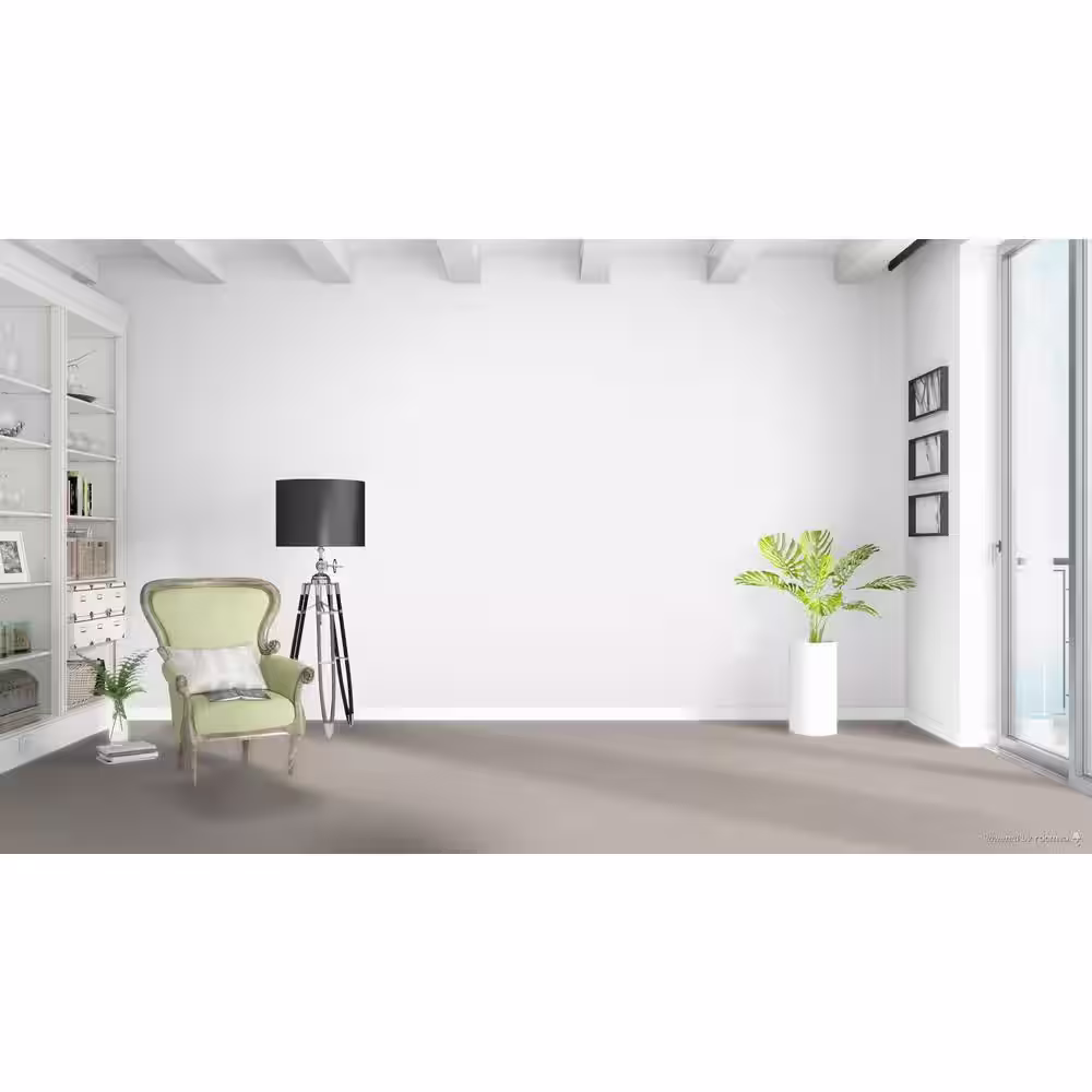 Home Decorators Collection Jack Bay I  - Luxury - Beige 48 oz. SD Polyester Texture Installed Carpet