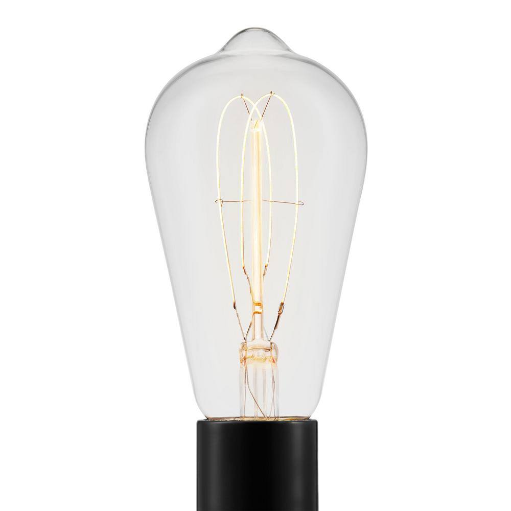 EcoSmart 40-Watt Equivalent ST19 Dimmable M-Shape Filament LED Vintage Edison Light Bulb Soft White (1-Pack)