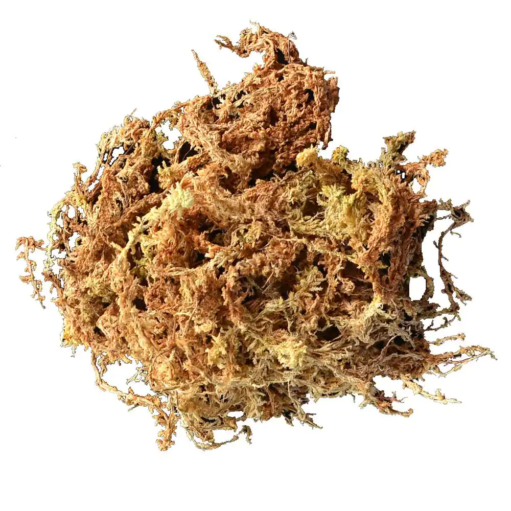 Mosser Lee 432 cu. in. Sphagnum Moss